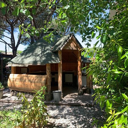 Camping Dolce Sole Marina di Massa Ngoại thất bức ảnh