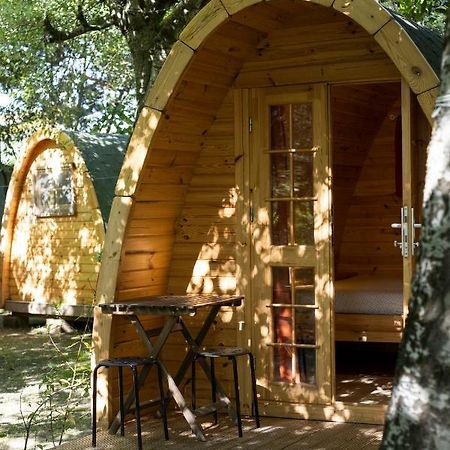 Camping Dolce Sole Marina di Massa Ngoại thất bức ảnh