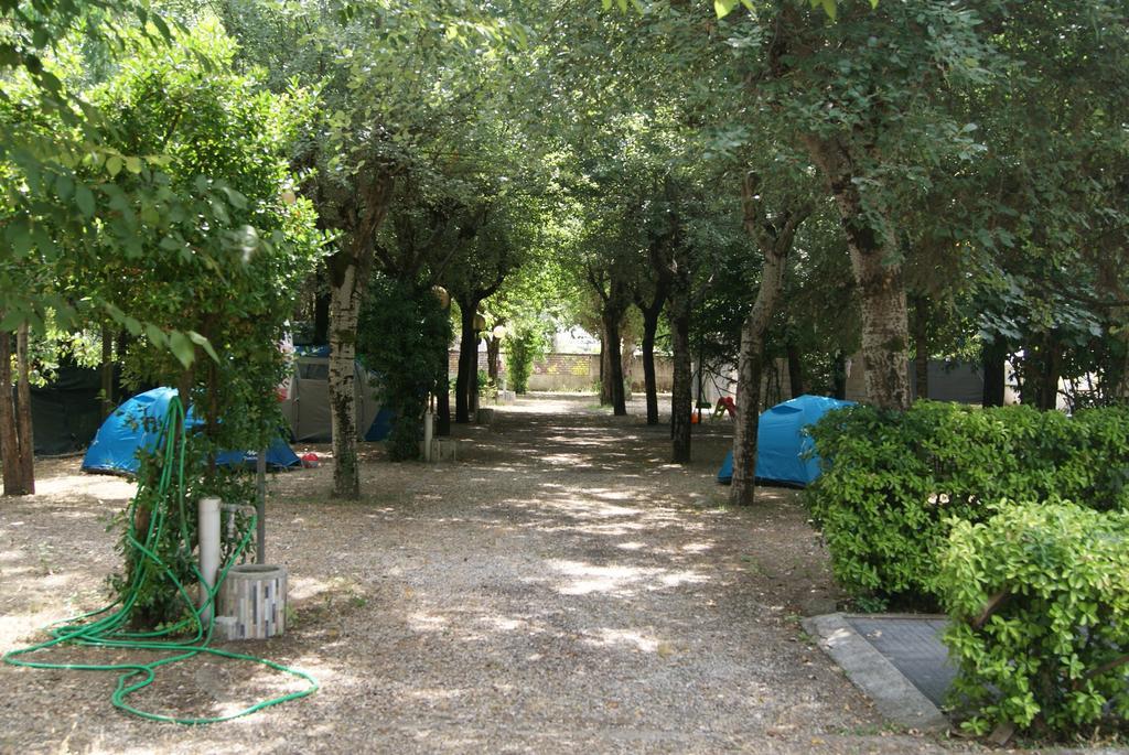 Camping Dolce Sole Marina di Massa Ngoại thất bức ảnh