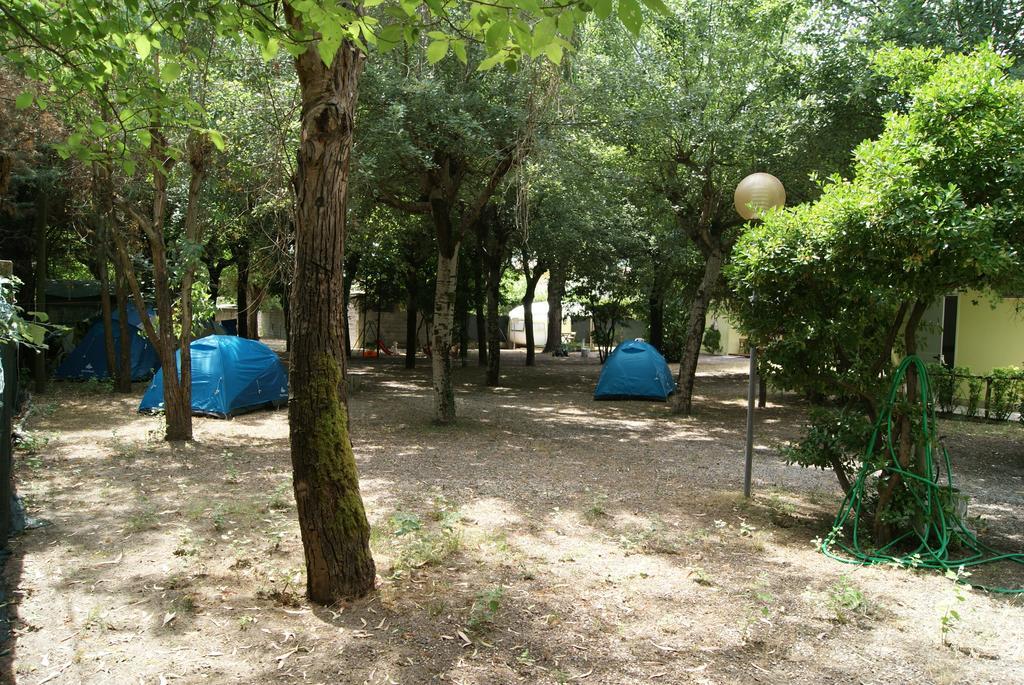 Camping Dolce Sole Marina di Massa Phòng bức ảnh