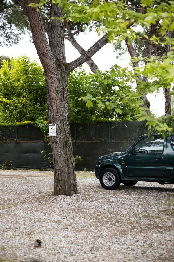 Camping Dolce Sole Marina di Massa Ngoại thất bức ảnh